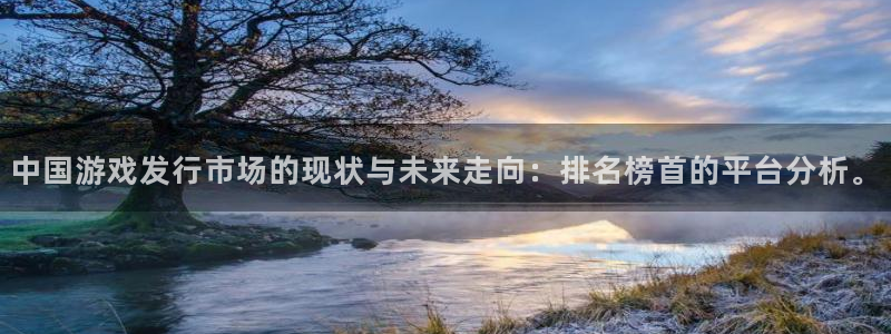 杏耀电商怎么样知乎：中国游戏发行市场的现状与未来走向：排名榜首的平台分析。