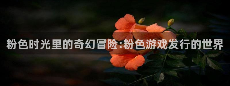 法国杏耀lvnces是奢侈品吗