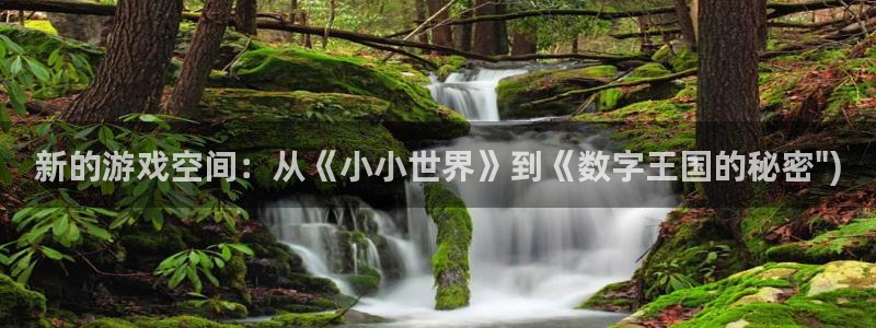 杏耀官网平台代理开号是真的吗：新的游戏空间：从《小小世界》到《数字王国的秘密\