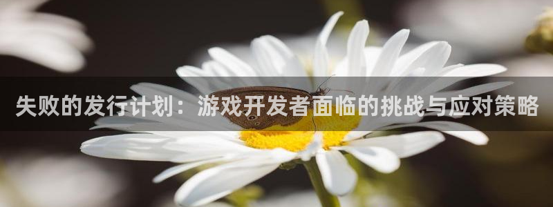 作者杏耀子：失败的发行计划：游戏开发者面临的挑战与应对策略
