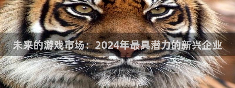 杏耀环境科技有限公司：未来的游戏市场：2024年最具潜力的新兴企业