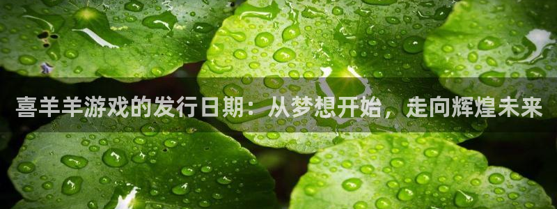 广州杏耀网络科技有限公司招聘