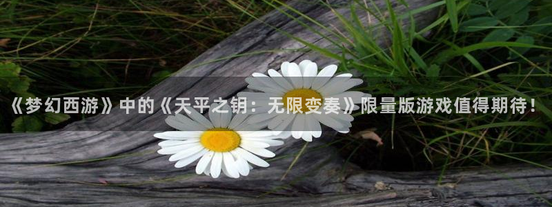 杏耀官网注册平台官网登录：《梦幻西游》中的《天平之钥：无限变奏》限量版游戏值得期待！