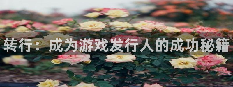 杏耀技术有限公司：转行：成为游戏发行人的成功秘籍