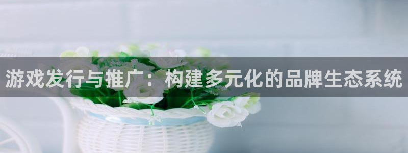 杏耀官网登录注册失败：游戏发行与推广：构建多元化的品牌生态系统