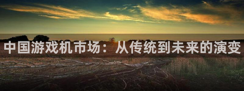 杏耀官网代理注册不了：中国游戏机市场：从传统到未来的演变