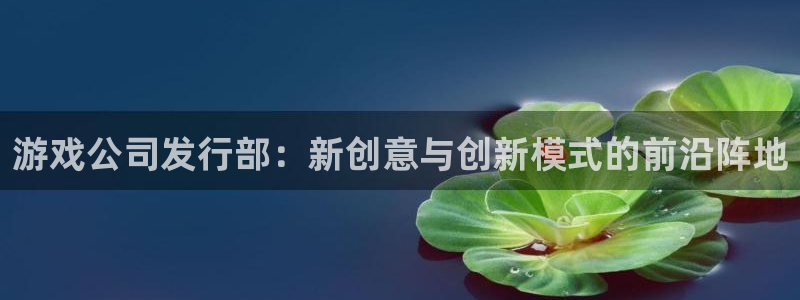 杏耀军团是哪个国家队