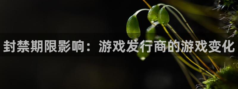 杏耀官网解绑银行卡怎么弄：封禁期限影响：游戏发行商的游戏变化