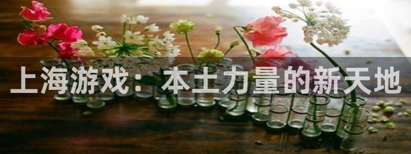 陕西杏耀子文化创意骗局