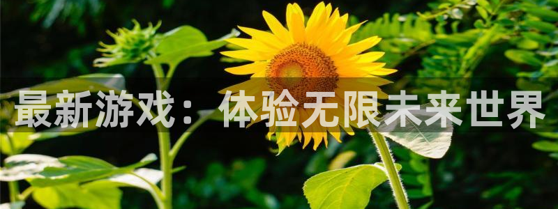 杏耀涂料怎么样