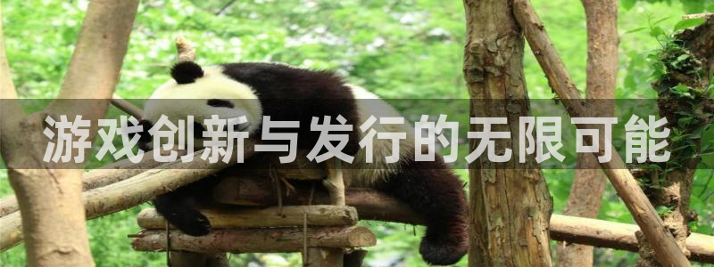 杏耀子经理人杂志