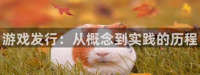 广东杏耀电商bruno