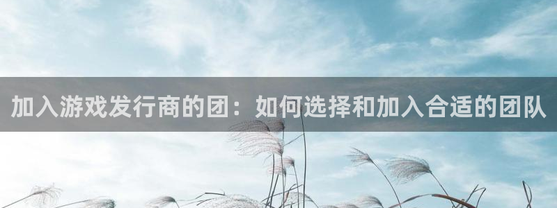 杏耀官网游戏平台介绍：加入游戏发行商的团：如何选择和加入合适的团队